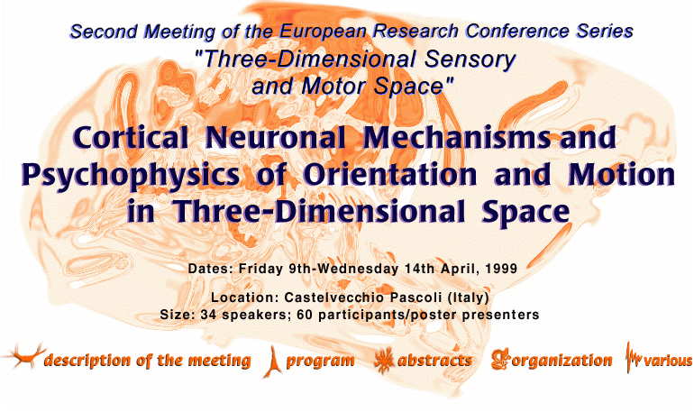 Cortical neuronal mechanisms and psychophysics of orientation and motion

in three-dimensional space, 

Second Meeting of the European Research Conference Series Three-Dimensional Sensory and Motor Space